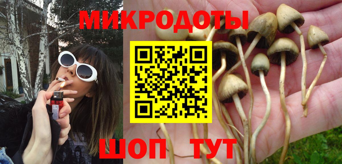 Калининград  Галлюциногенные грибы Psilocybe  Вход с VPN 