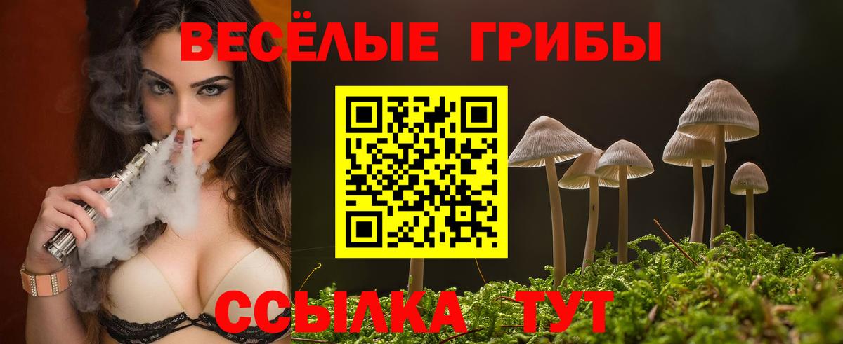 Галлюциногенные грибы Cubensis Калининград